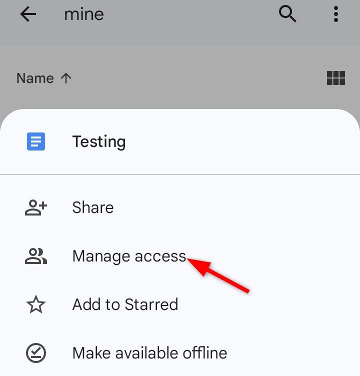 Opening 'Manage Access' setting of the Google Drive app.