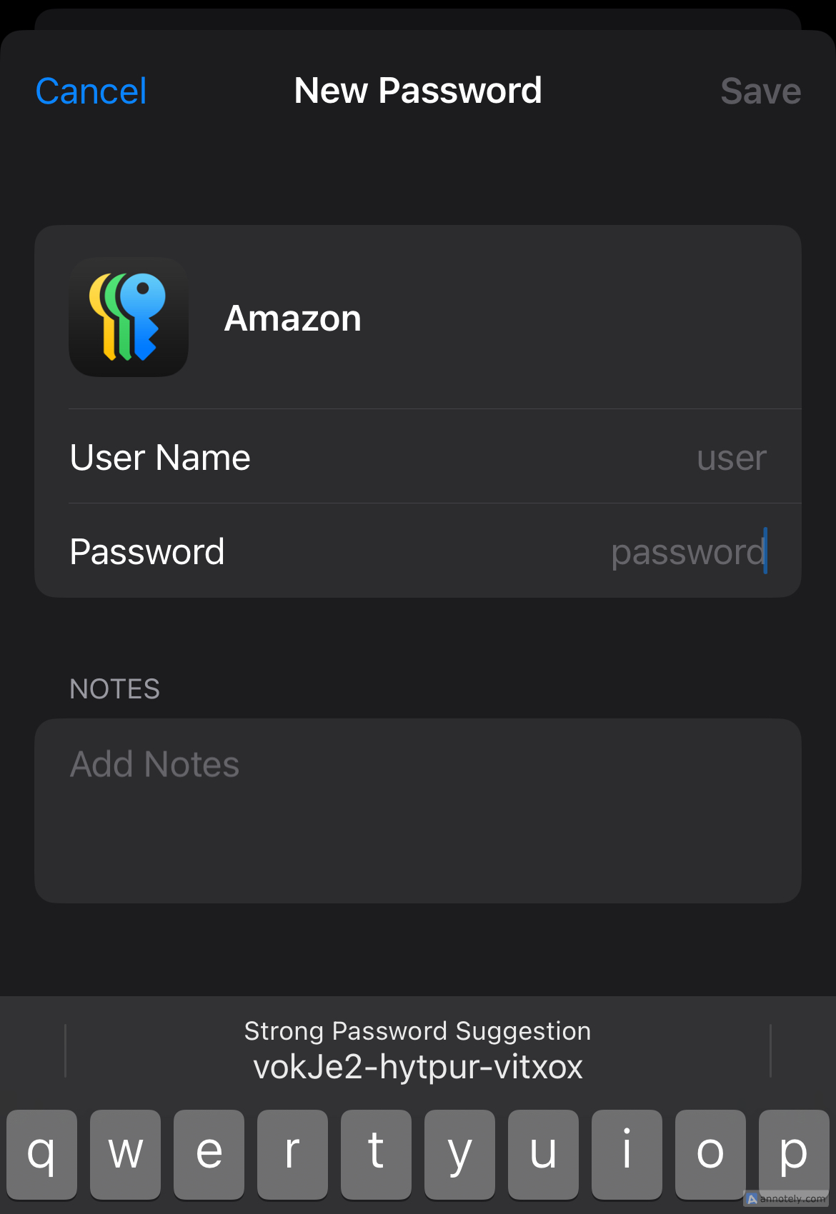 Setting up a new password on Apple's Passwords app.