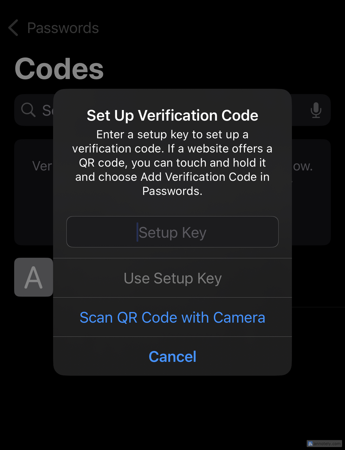 Setting up verification codes on the Passwords app.