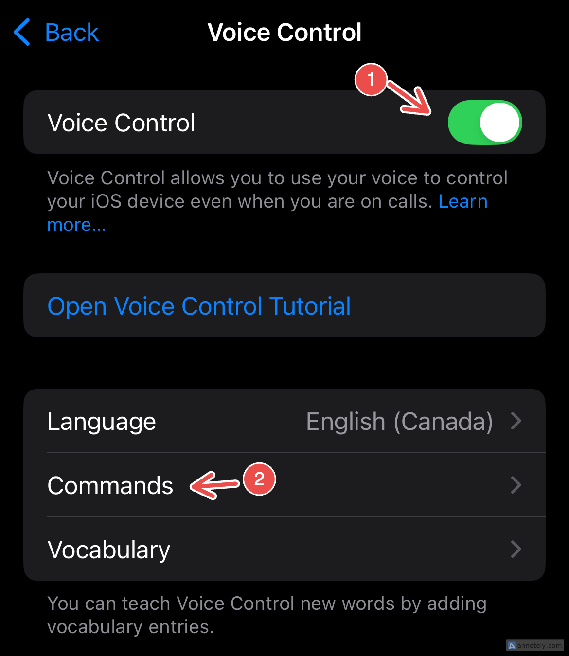 Voice Control Commands in Accessibility.