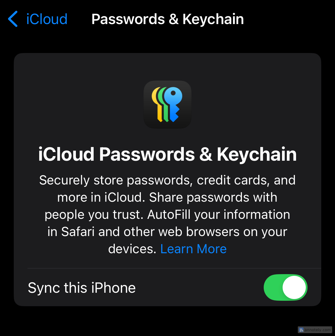 Setting up iCloud keychain for the Passwords app.