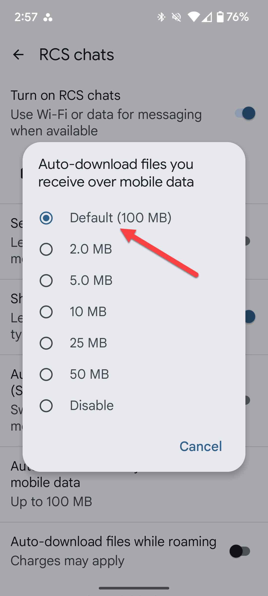 RCS settings in Google Messages.