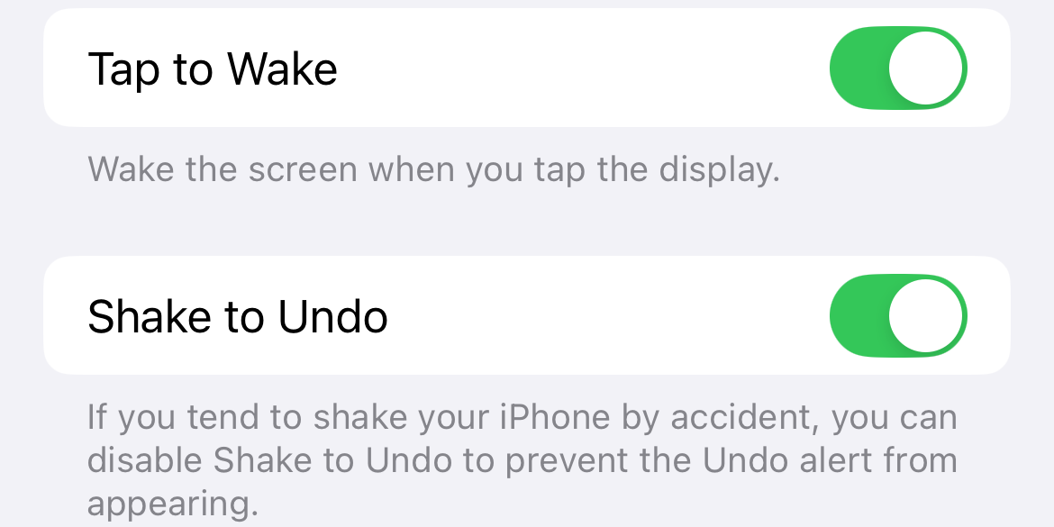 The "Shake to Undo" option in the Settings app on iPhone.