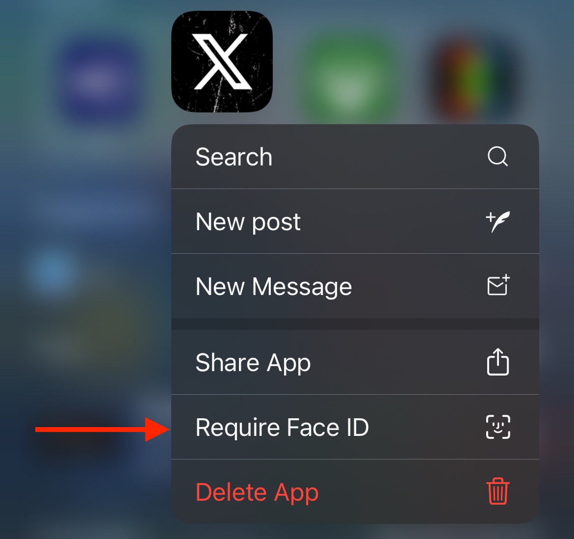 The 'Require Face ID' option on an iPhone app in iOS 18.