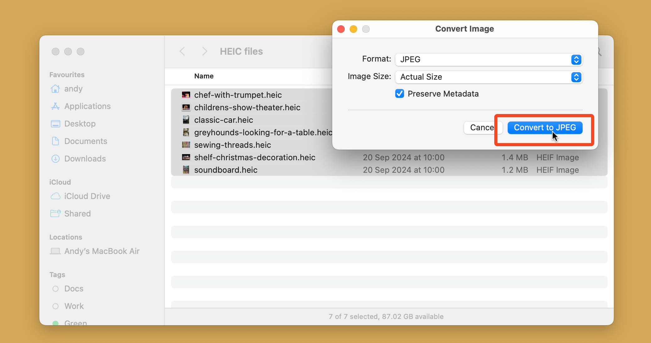 The Convert Image dialog box in macOS.