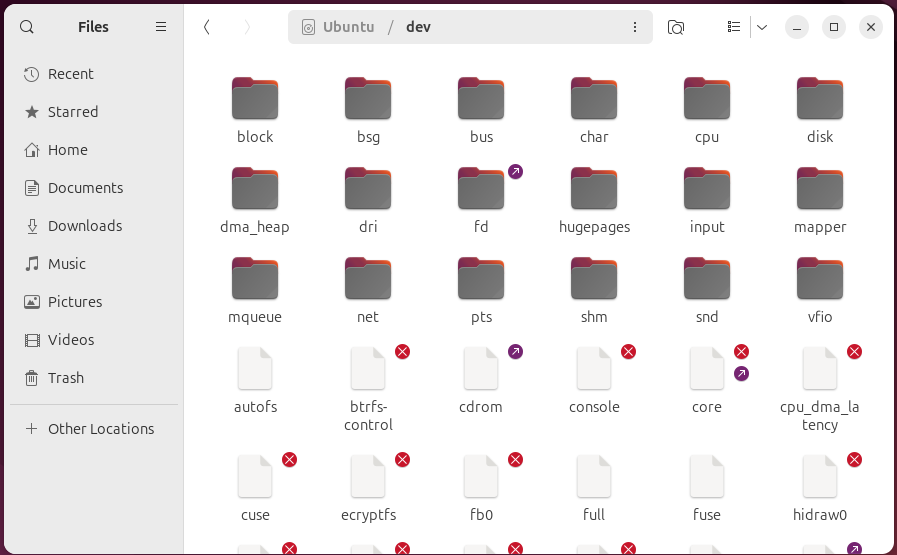 The dev directory in a file browser on Ubuntu Linux.