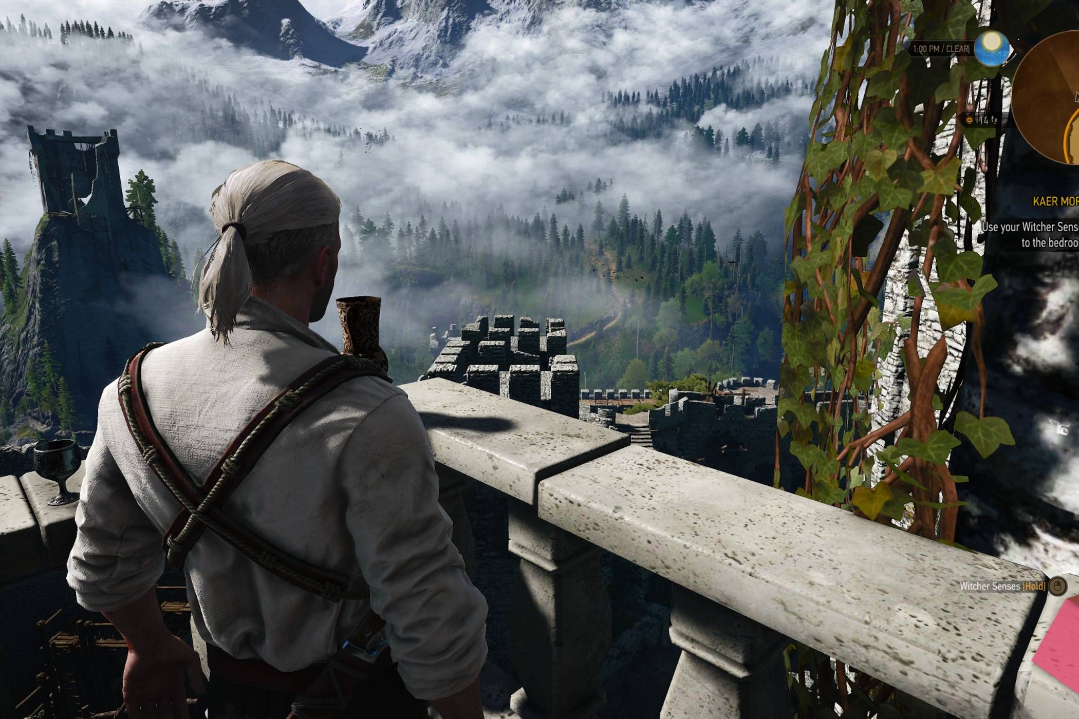 Geralt of Riveria looking out into the distance in the Witcher 3