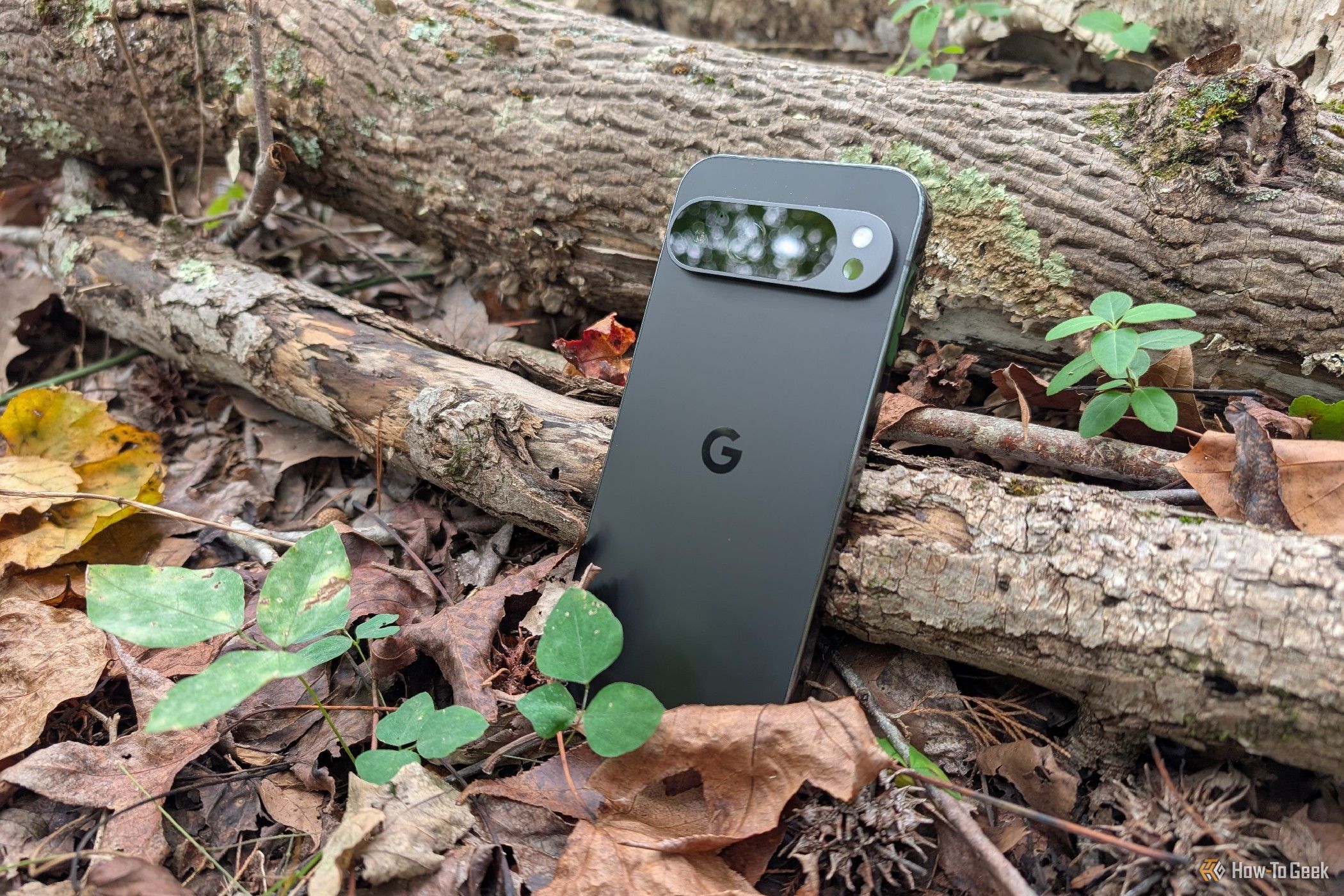 Google Pixel 9 Pro XL among leaves and fallen branches.