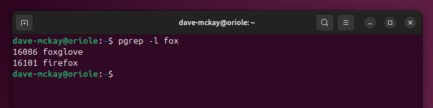 Using pgrep to search for processes whose names contain fox.