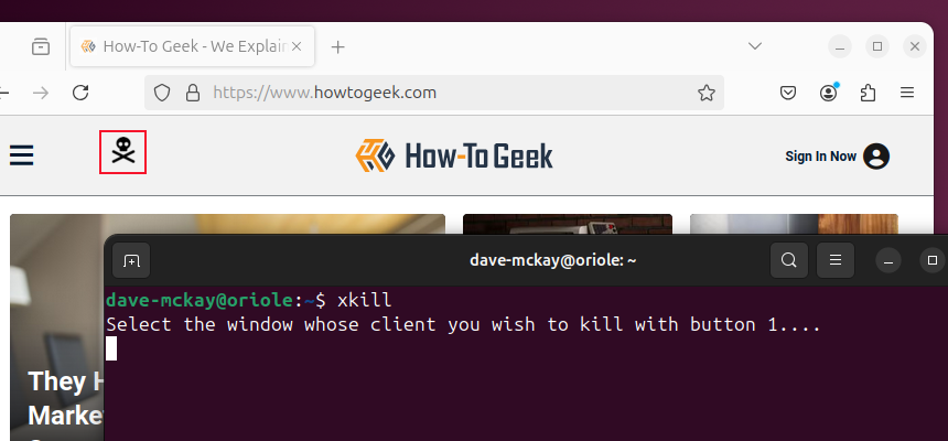 The xkill command running in a terminal window, with the cursor arrow replaced by a skull and crossbones shape.