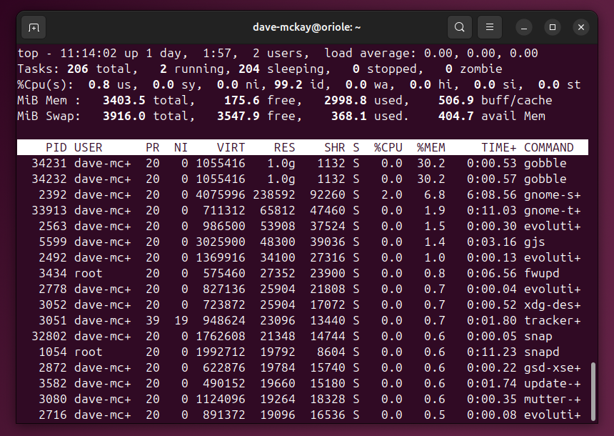 The top program with the process table sorted by RAM usage.