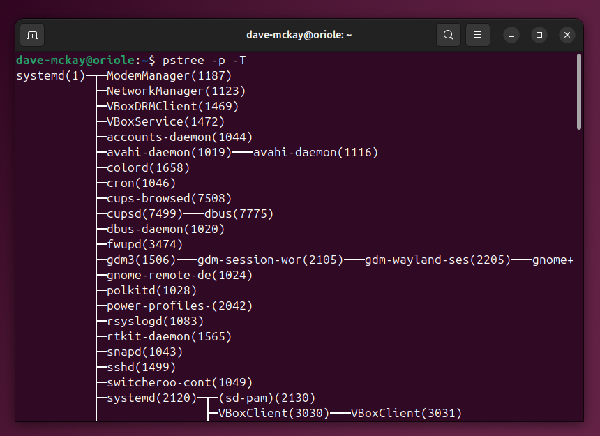 Using the -T option with pstree, to unclutter the tree display by hiding thread processes.