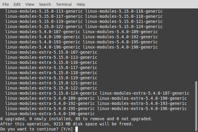 Picture of the terminal output when using autoremove in Ubuntu.