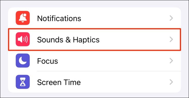 Sounds & Haptics option in iPhone settings.