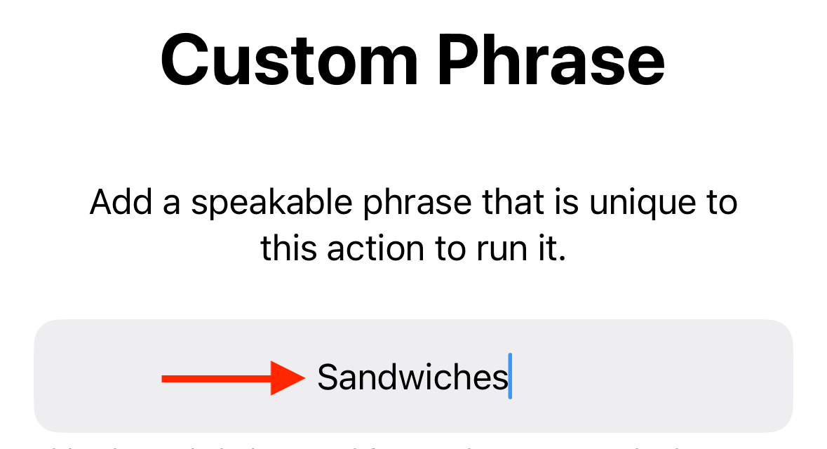 Enter phrase for play sound Vocal Shortcut in iPhone Accessibility settings.