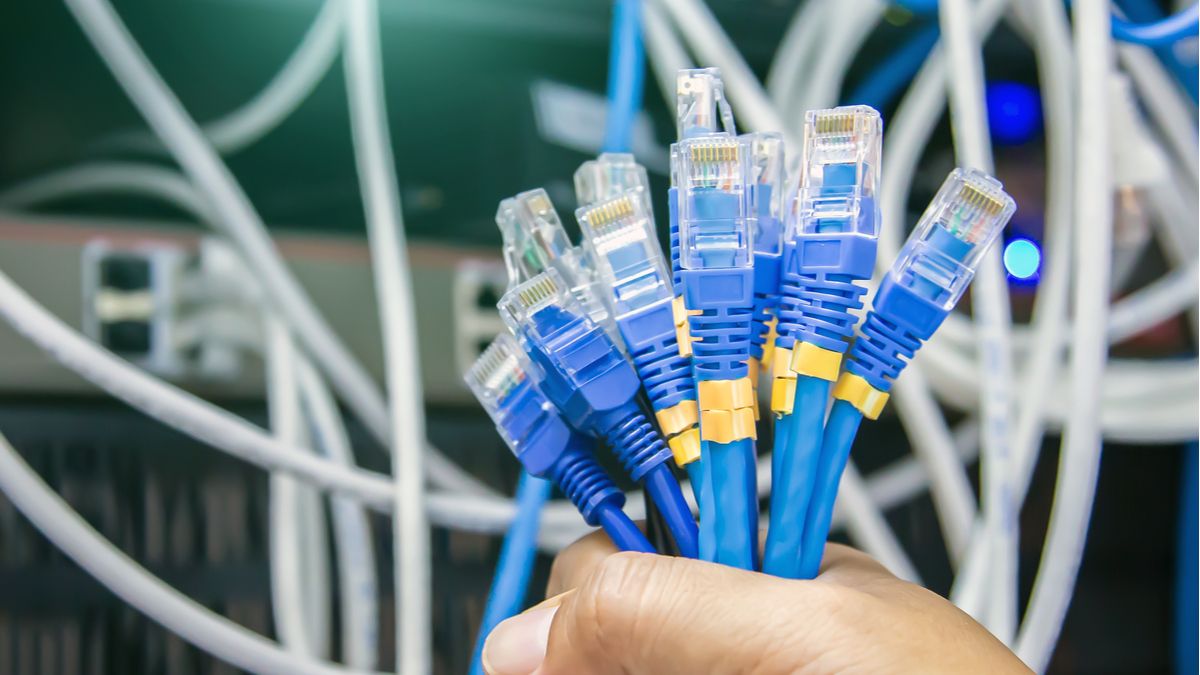 Bundle of Ethernet cables in a person's hand.