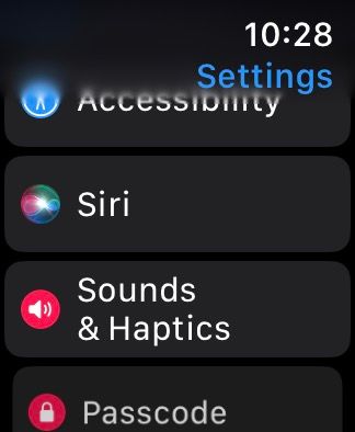 Apple Watch Settings app.