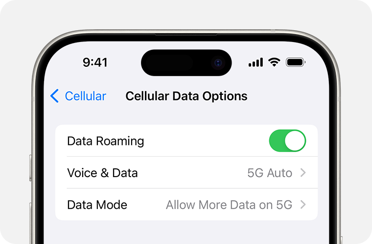 A screenshot of an iPhone's Cellular Data Options settings.