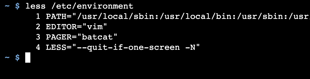 An example /etc/environment file showing configuration of the less command and the EDITOR and PAGER environment variables.
