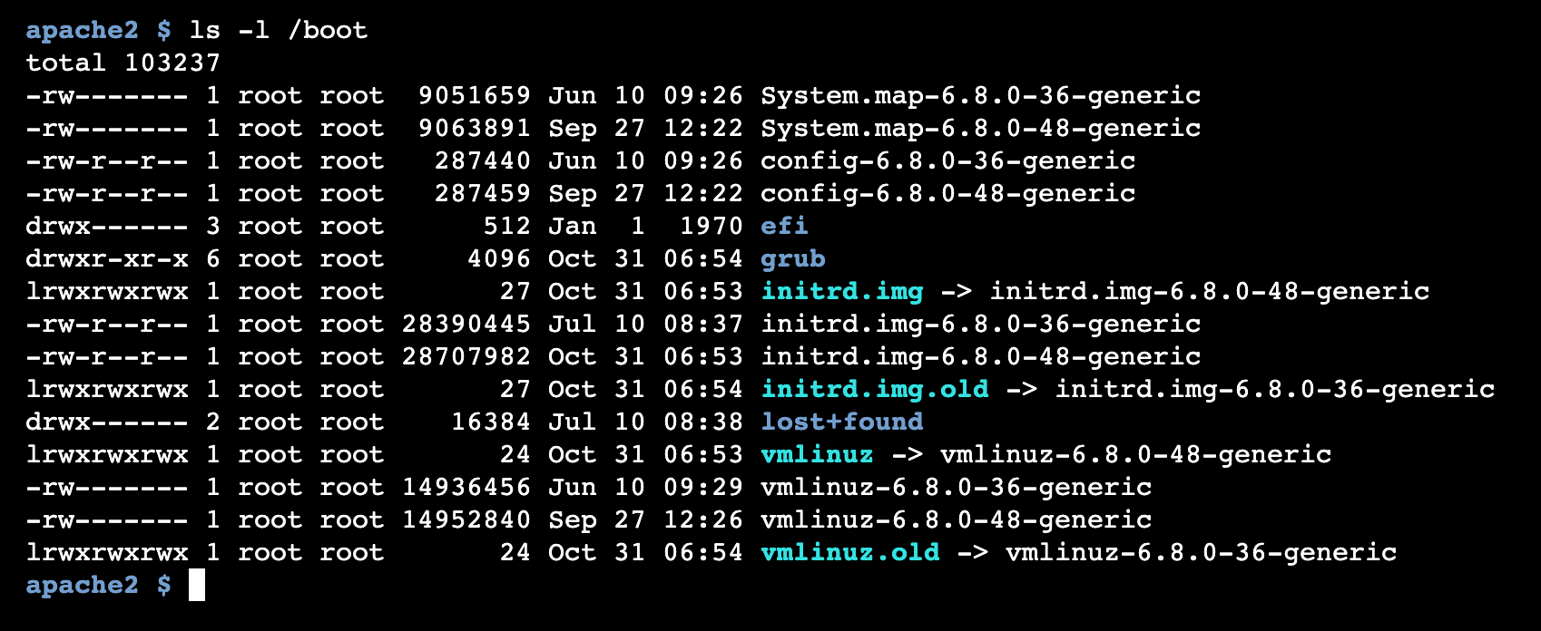 The ls command showing a list of files, one per line, each with metadata like permissions, owner, and modification date.