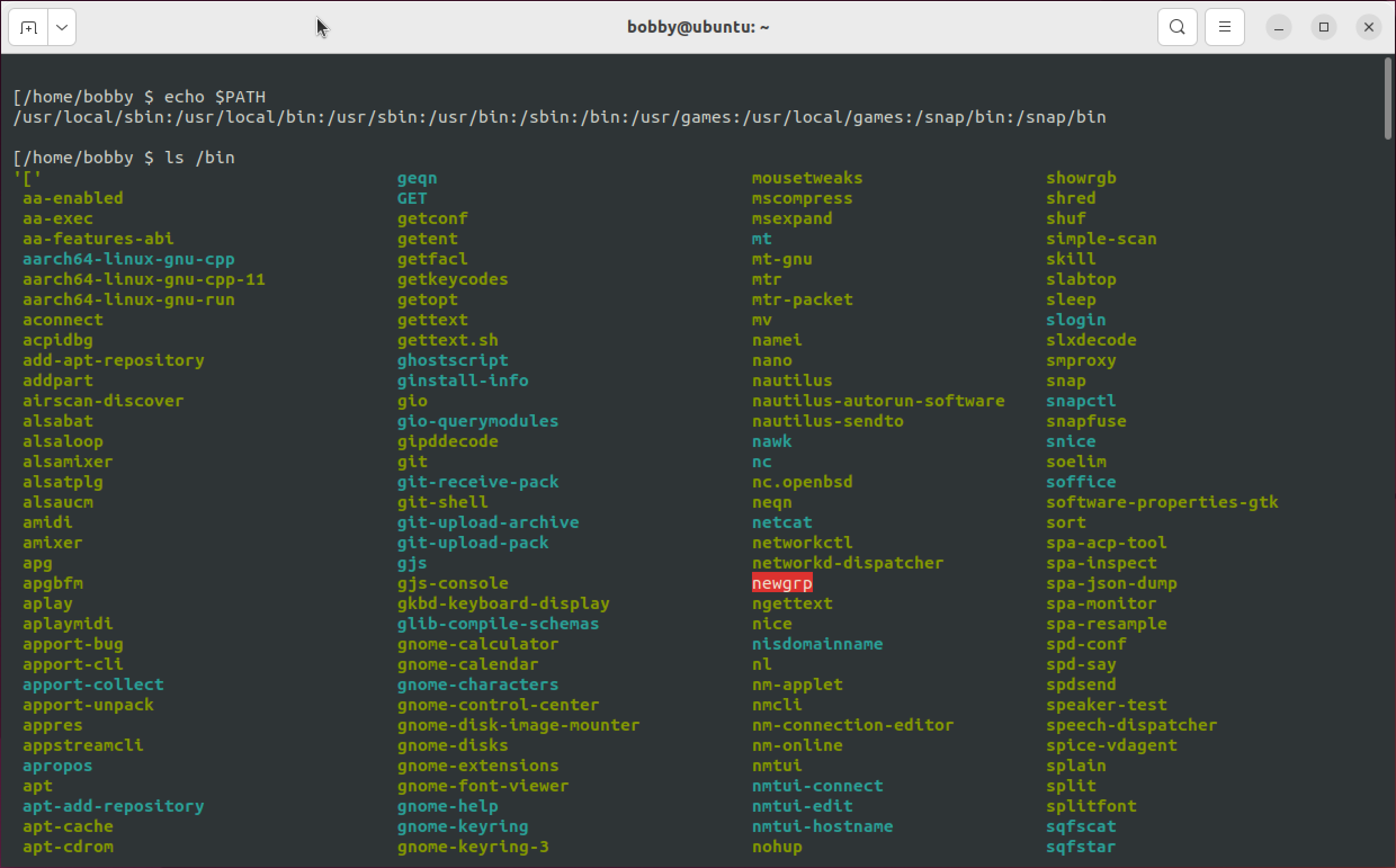 Linux commands showing the contents of the PATH variable and commands in the /bin directory.