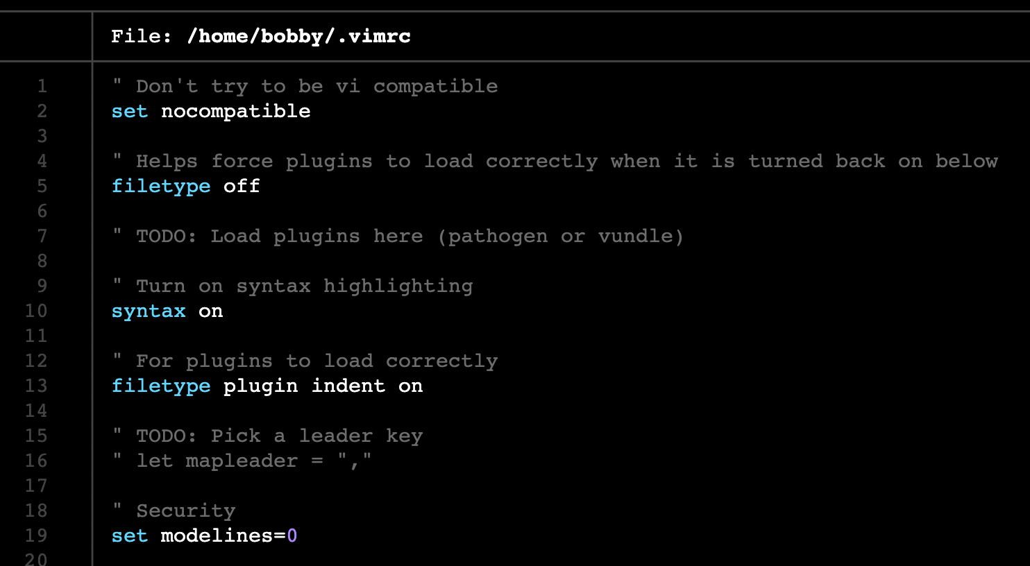 Part of a .vimrc file showing settings including syntax highlighting and plugin loading.