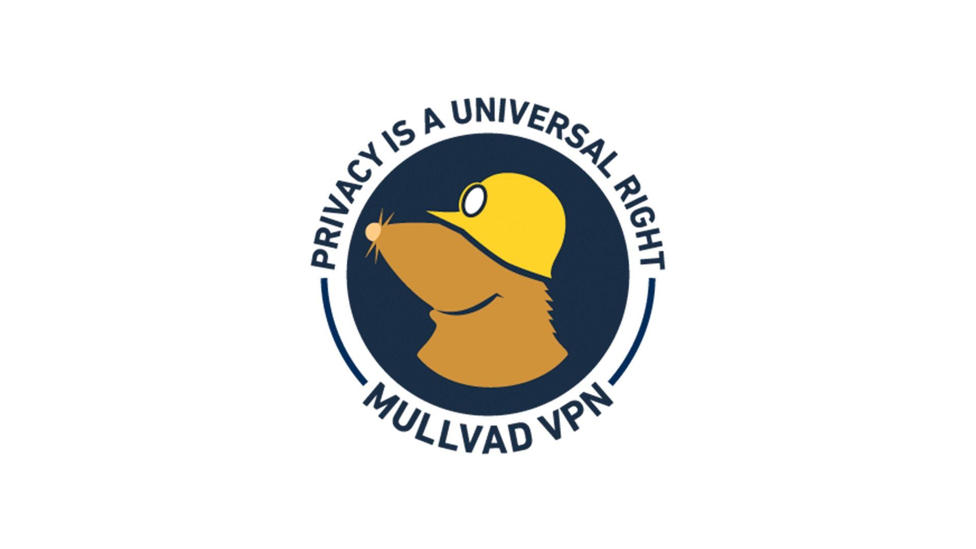 Mullvad-VPN-logo-with-privacy-is-a-universal-right-text