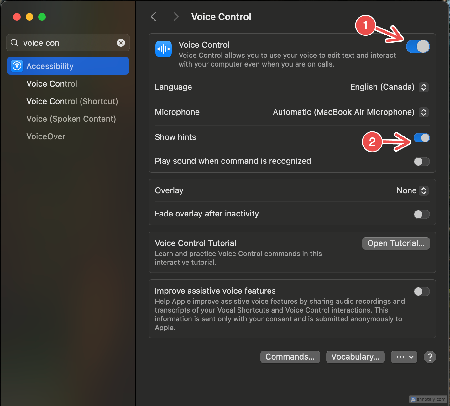 Switching on Voice Control on Mac.