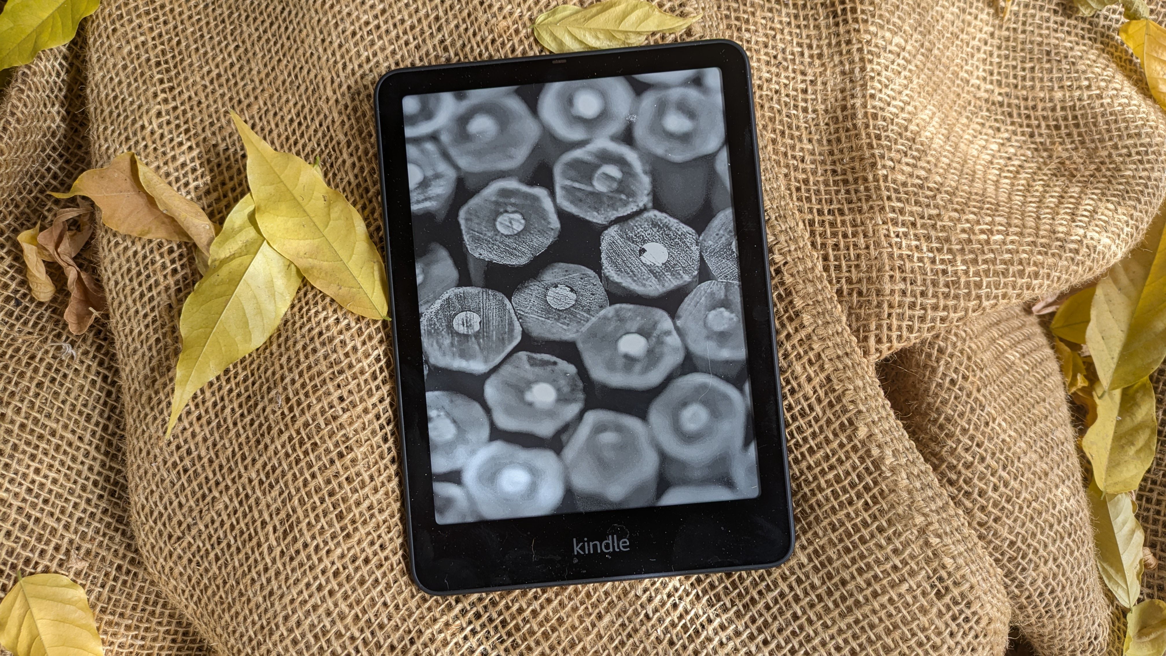 The Kindle Paperwhite SE (Gen 12)