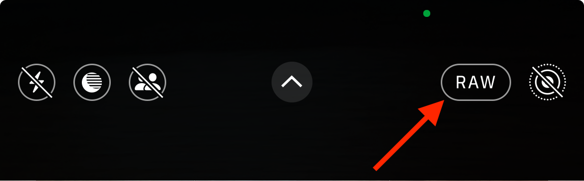 RAW toggle in iOS Camera app.