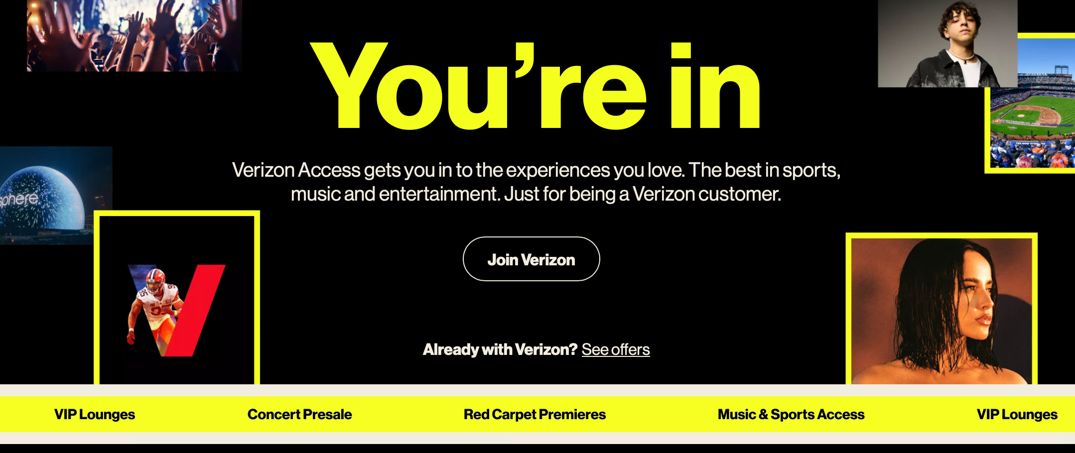 A screenshot of the Verizon myAccess landing page.