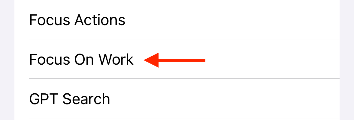 Selecting Focus On Work shortcut in iPhone Accessibility settings.