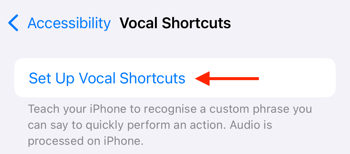 Set Up Vocal Shortcuts in iPhone Accessibility settings.