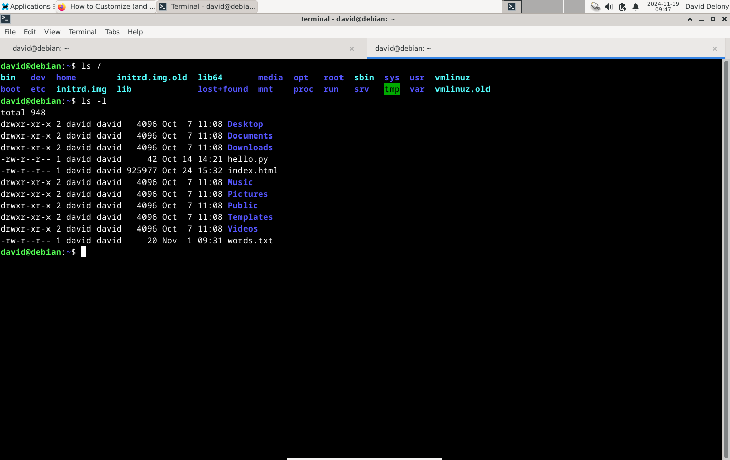 Xfce Terminal with tabbed terminals.