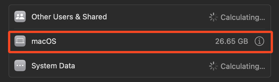 The amount of storage macOS uses, shown in Settings.