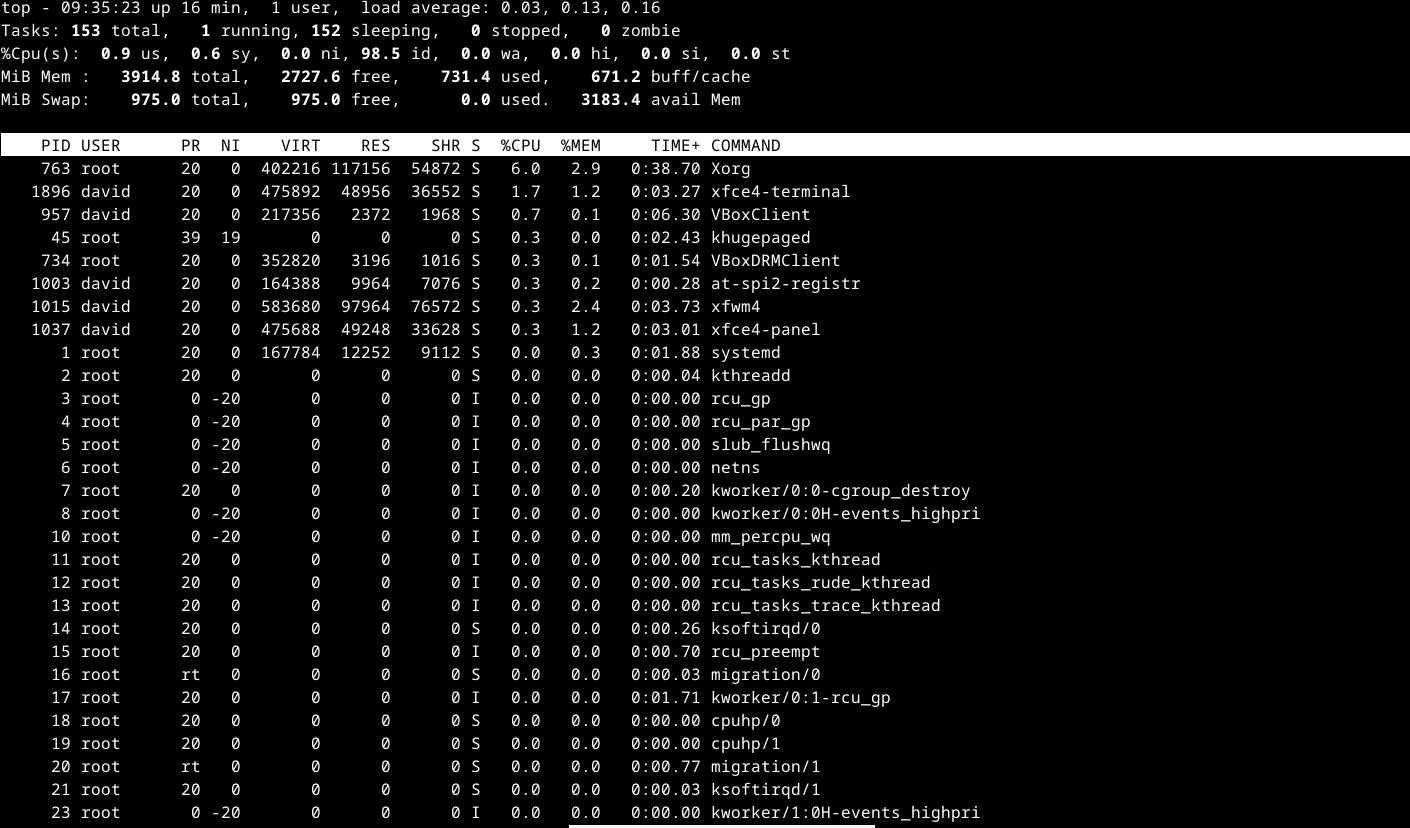 top running in the Linux termianl.