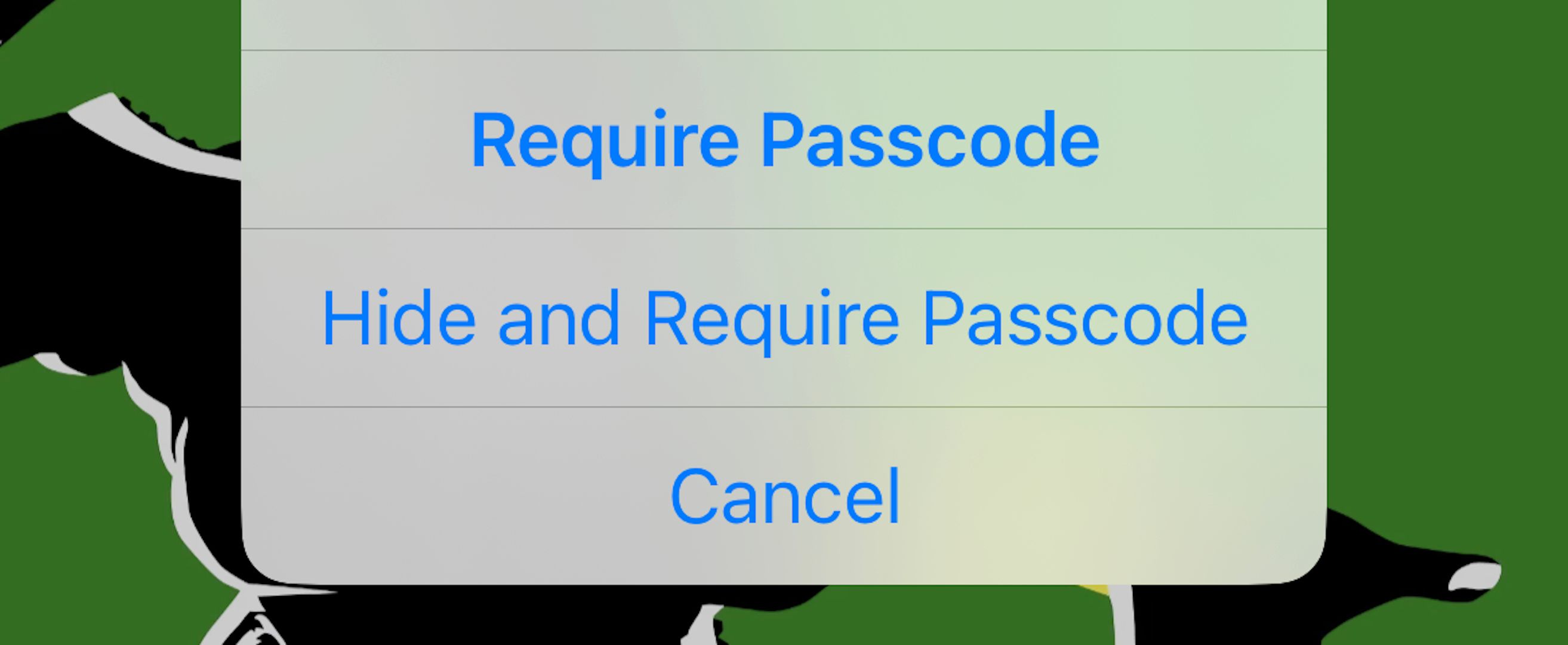 Setting up the Hide and Require Passcode option on an iPhone.