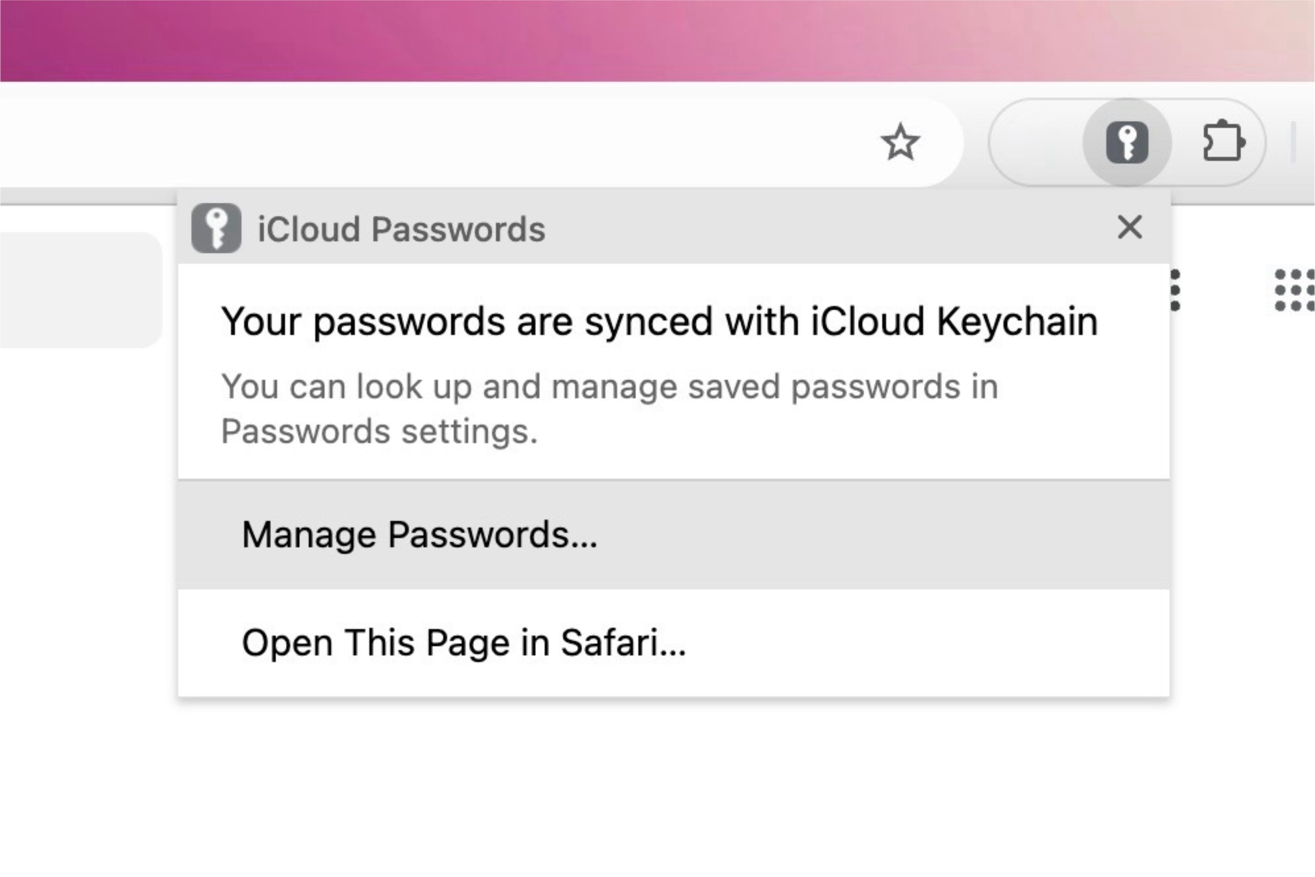 Selecting the 'Manage Passwords...' Option for iCloud Passwords extension on Chrome on macOS.