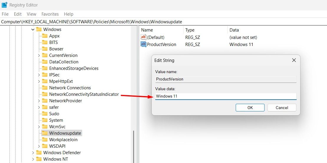 Value Data field of the ProductVersion String Value in the Registry Editor.