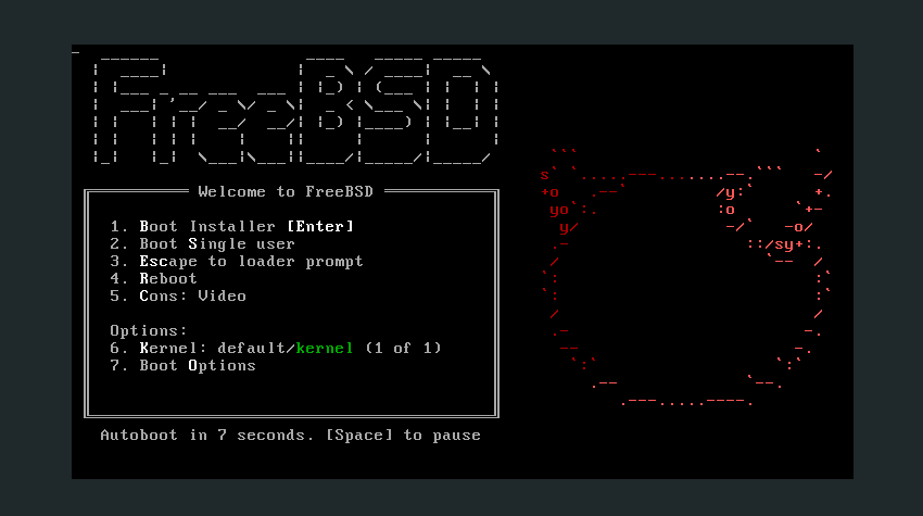 The FreeBSD installation program.