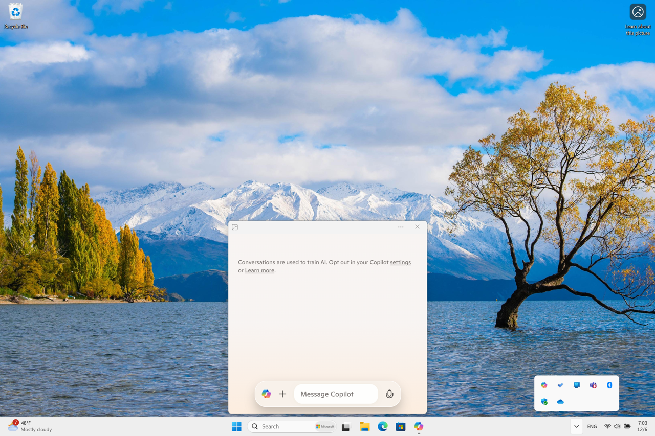 Copilot window in Windows 11.