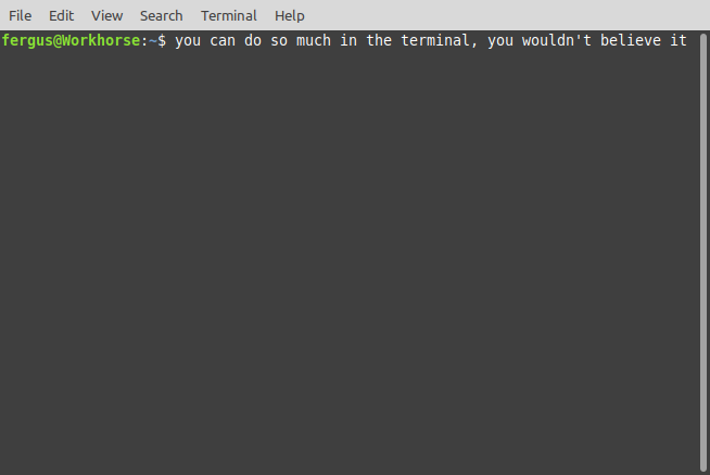 A picture of the terminal in Linux Mint.