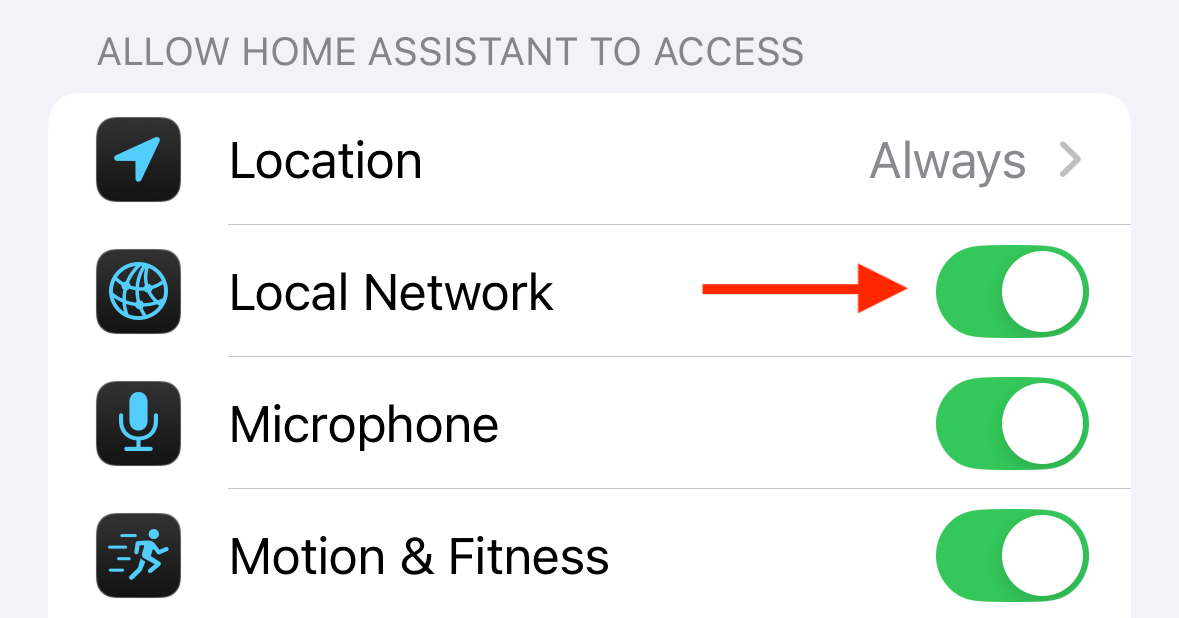 Local Network toggle in iPhone settings.