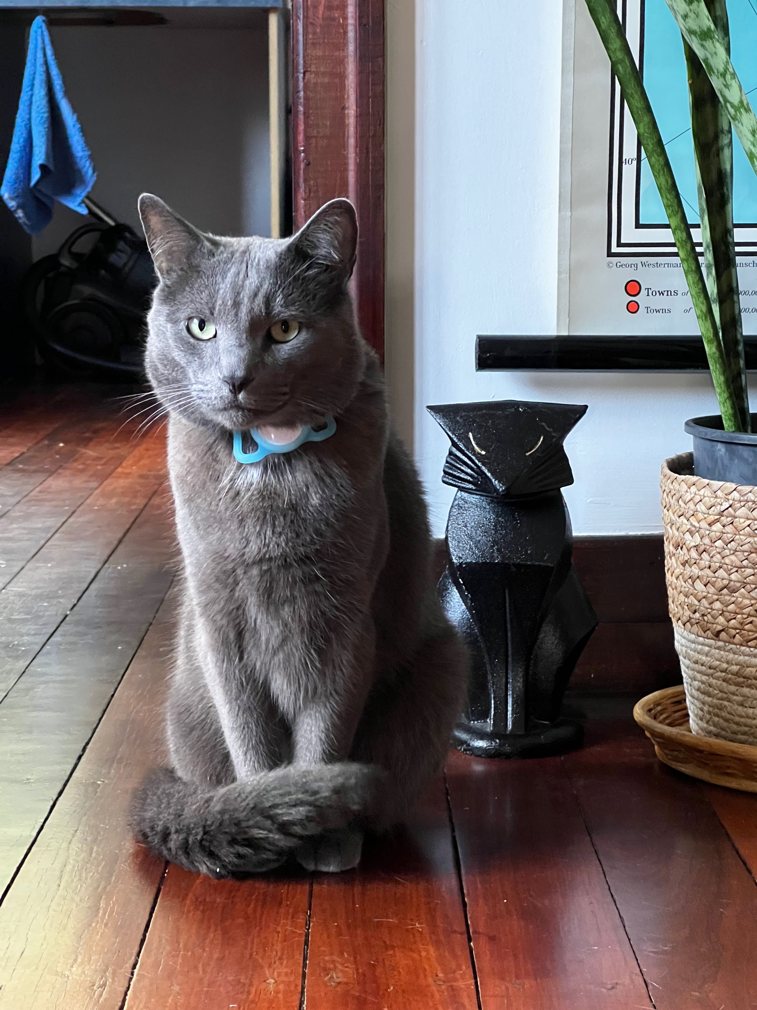 Roger the cat sitting next to a cat ornament.