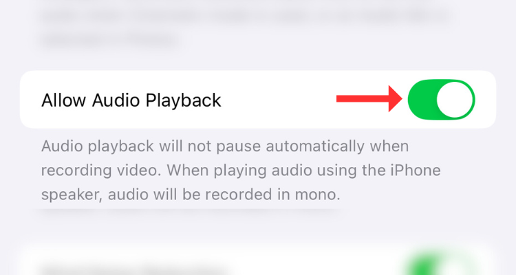 Screenshot of the Allow Audio Playback option in the Camera's settings page.