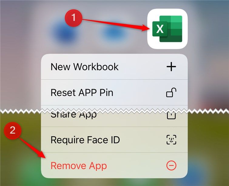 The Microsoft Excel iPhone app is selected, and the Remove App option is highlighted.