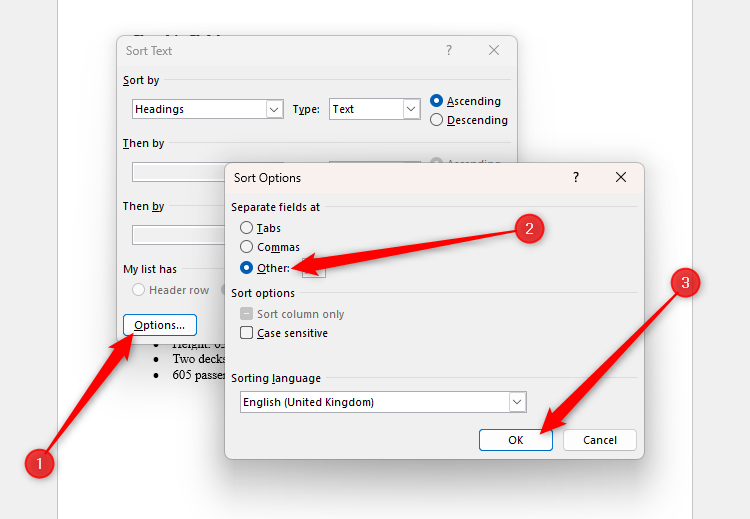 The Options button in Word's Sort Text dialog box is selected, and the 'Other' option is also selected in the Sort Options dialog box.