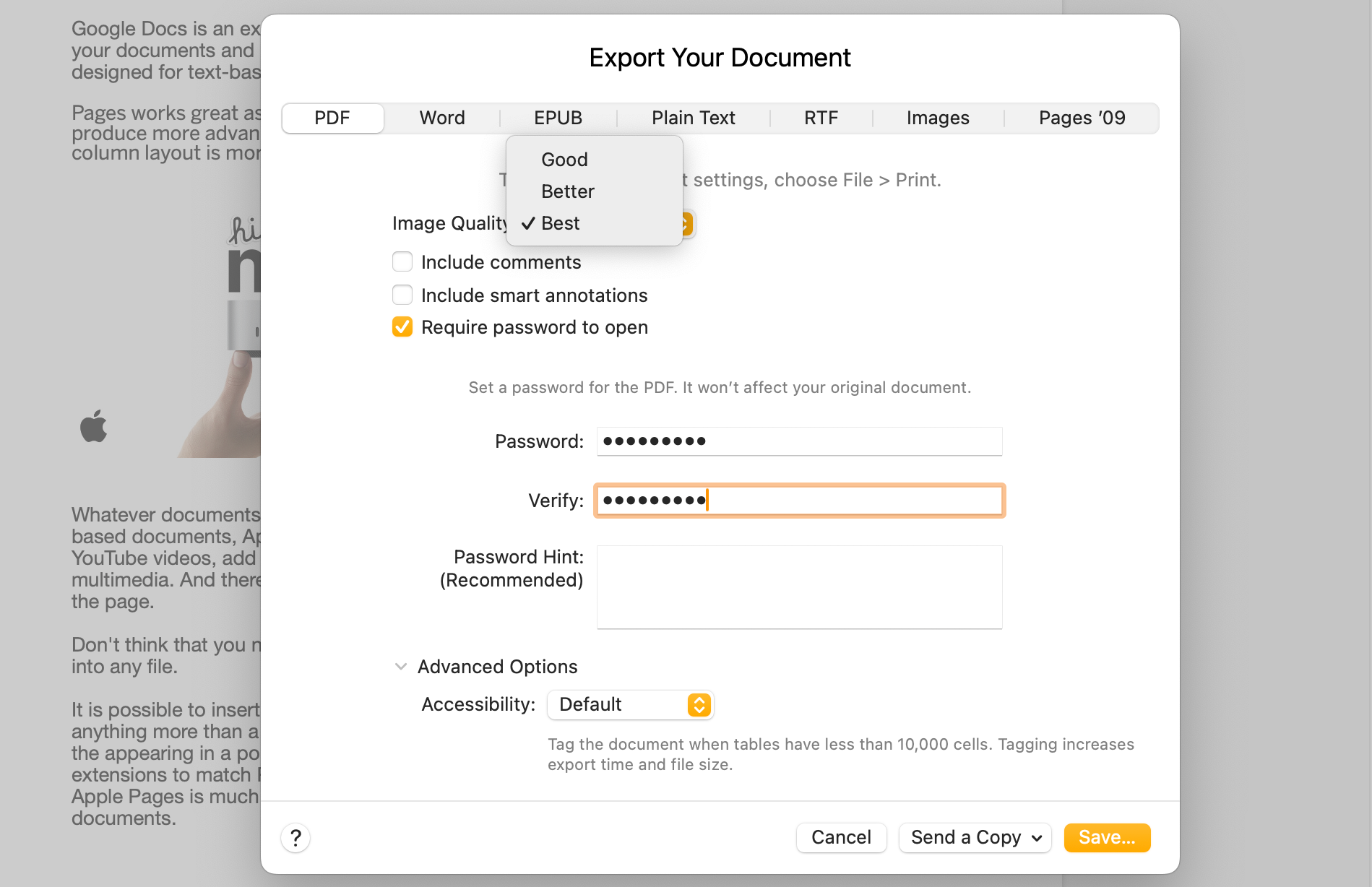 The PDF Export options in Apple Pages.