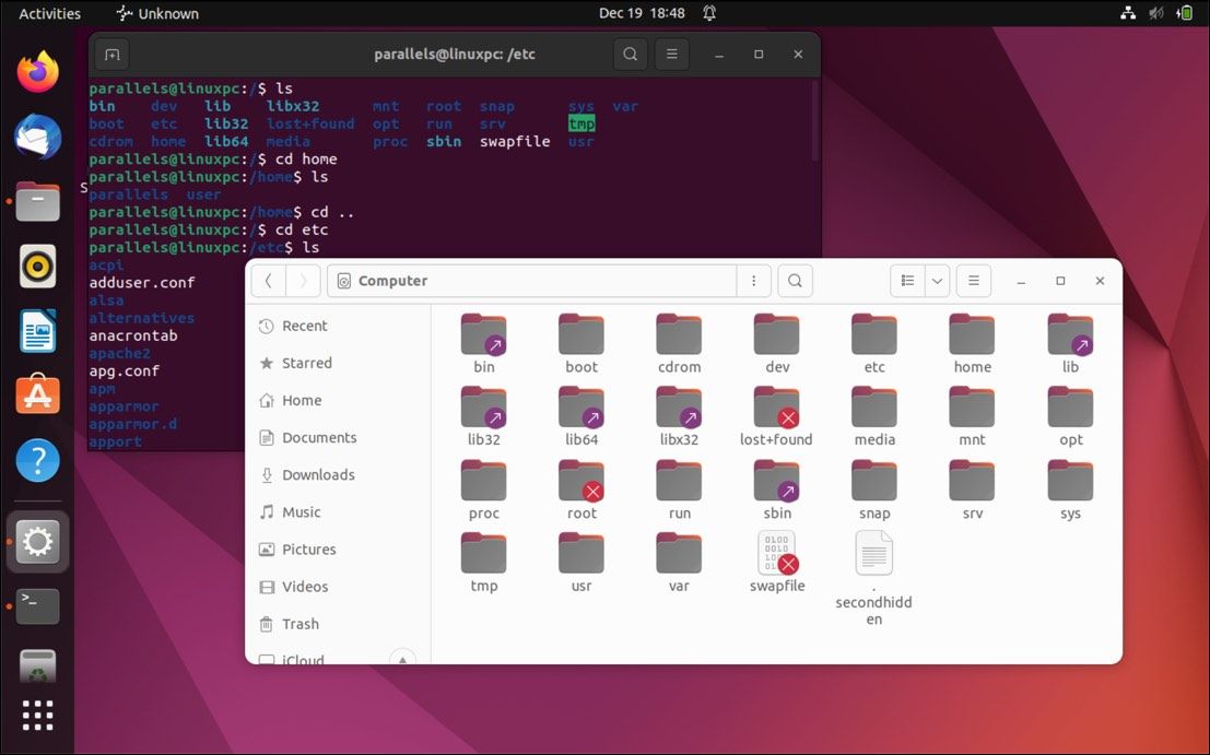 A screenshot showing the Ubuntu file structure, shown in the terminal and in the Files app.