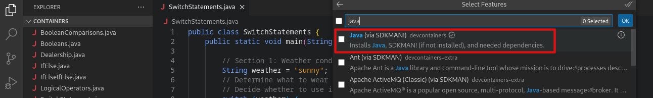 VSCode container configuration with option to install Java JDK